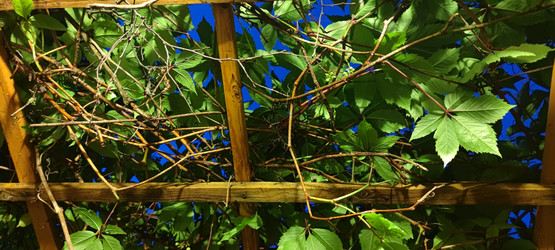 Similar image 21555596