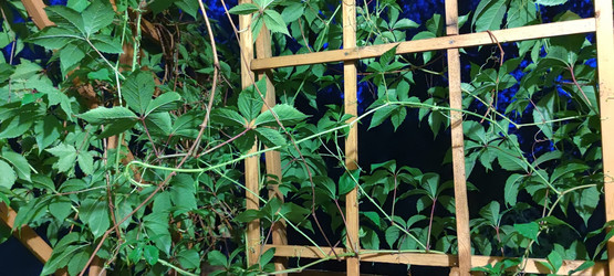 Similar image 21555602