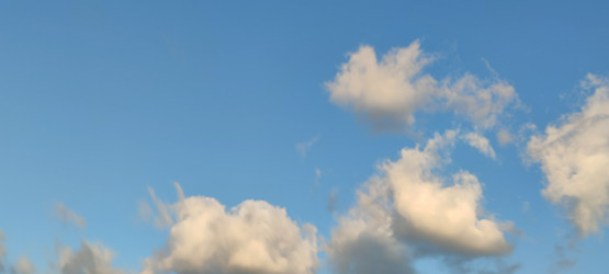 Similar image 21555603