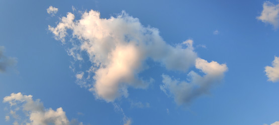 Similar image 21555605