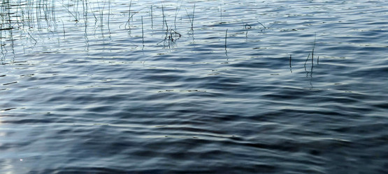 Similar image 21555612