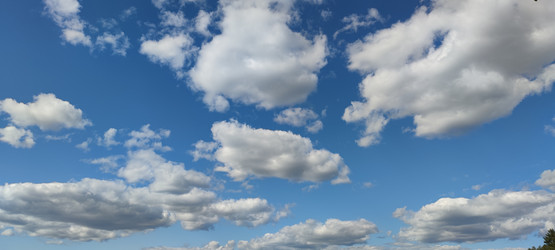 Similar image 21555613