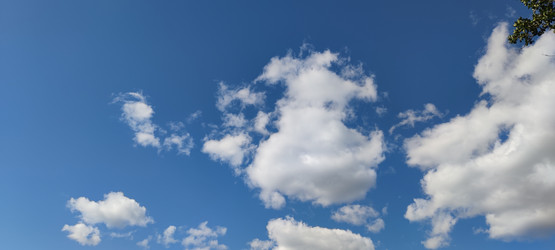 Similar image 21555660