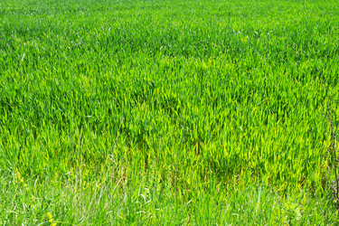 Similar image 21627421