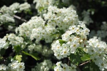 Similar image 21627424