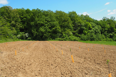 Similar image 21627425