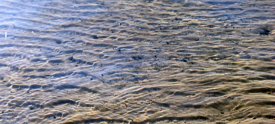 Similar image 21555665