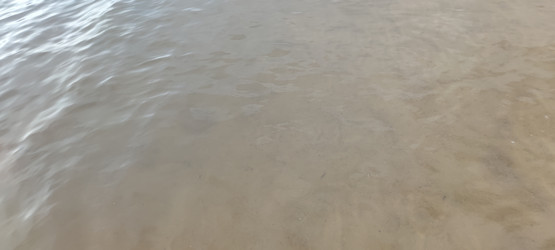 Similar image 21555667