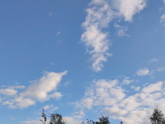 Similar image 21555678