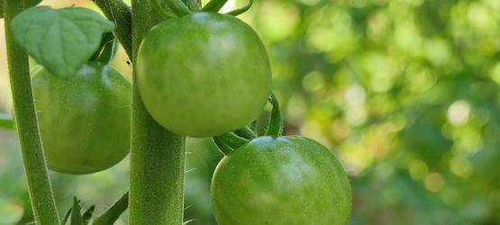 Similar image 21555687