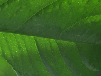 Similar image 21555694