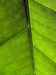 Similar image 21555705