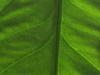 Similar image 21555713