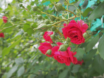 Similar image 21629083