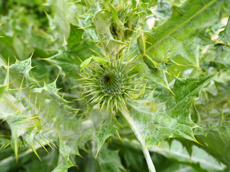 Similar image 21629085