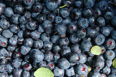 Similar image 21628682