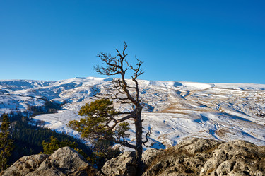 Similar image 21555122