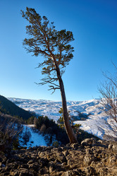 Similar image 21555123