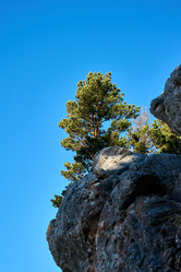 Similar image 21555125