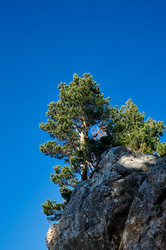 Similar image 21555127