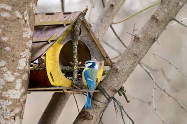 Similar image 21555128