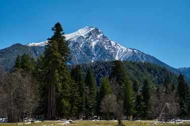 Similar image 21555133