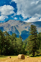 Similar image 21555143