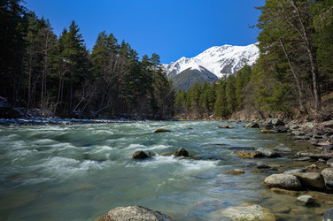 Similar image 21555144