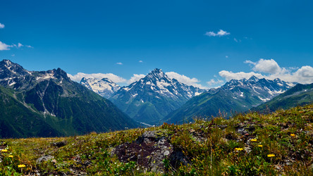 Similar image 21555145