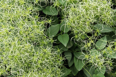 Similar image 21554952