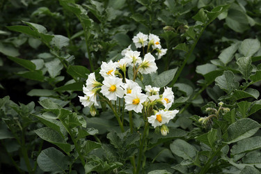 Similar image 21554953