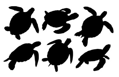 Similar image 21554955