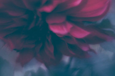 Similar image 21554922