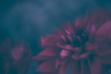 Similar image 21554956