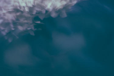 Similar image 21554957