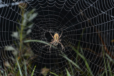 Similar image 21555151