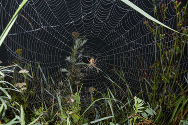 Similar image 21555213