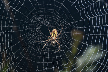 Similar image 21555215