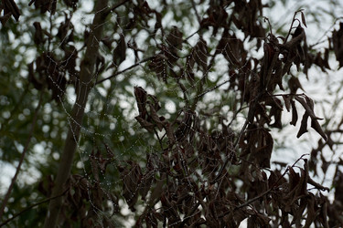 Similar image 21555216