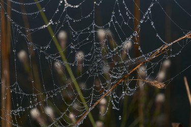 Similar image 21555217