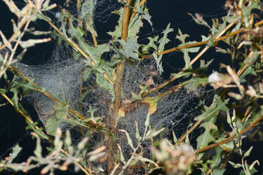 Similar image 21555218