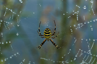 Similar image 21555354