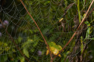 Similar image 21556455