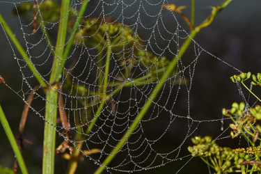 Similar image 21555222