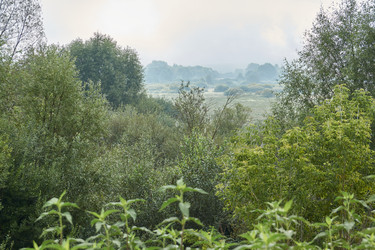 Similar image 21555223