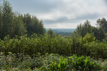 Similar image 21555224