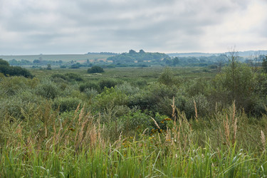 Similar image 21557573