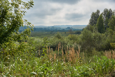 Similar image 21555225