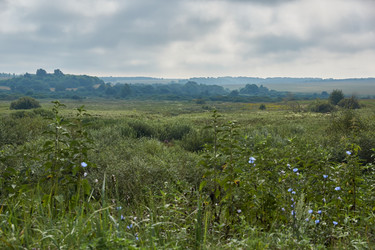 Similar image 21556456