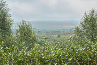 Similar image 21557264